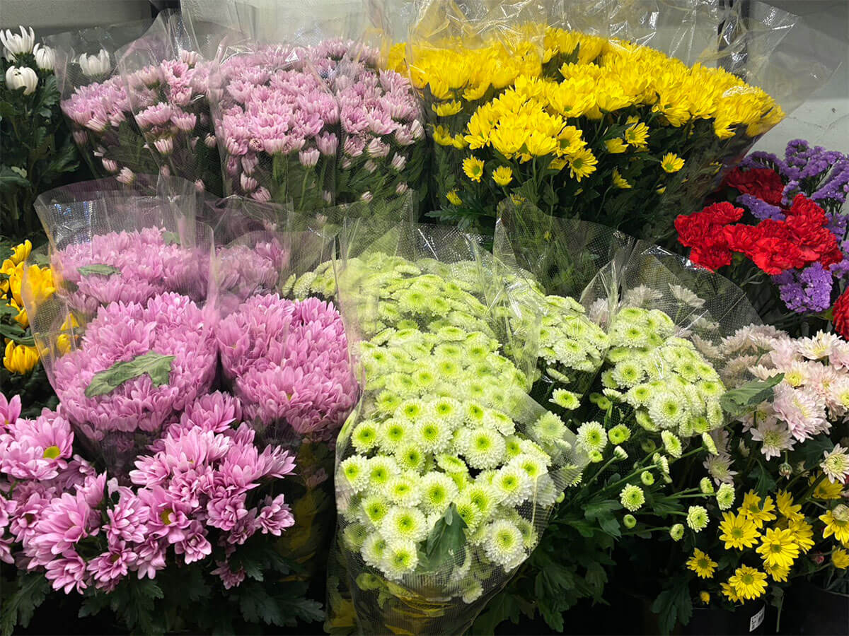 https://www.dailyshincho.jp/wp-content/uploads/2026/01/1401486_1.jpg